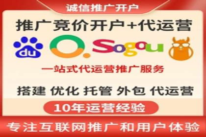 某电商平台的SEM策略与效果展示